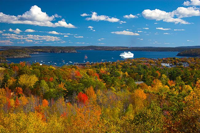 Fall colors around a harbor in Atlantic Canada