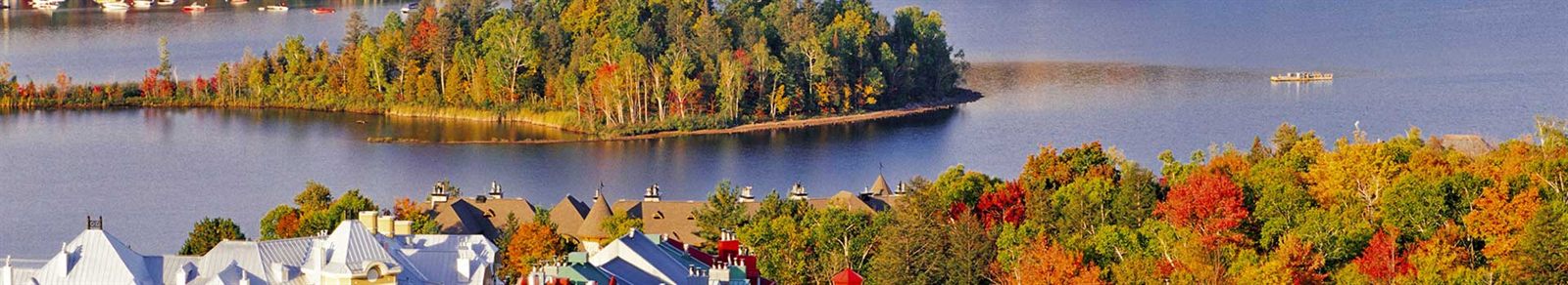 Autumn foliage along a New England shoreline