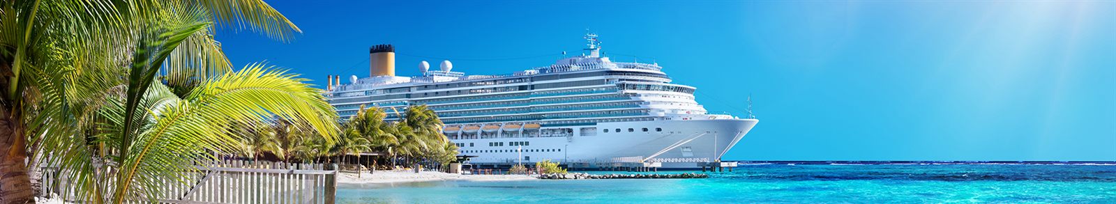 Cruise ship docked beside palm trees at a tropical port